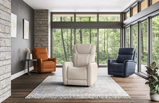 Well Established Retail Furniture Store